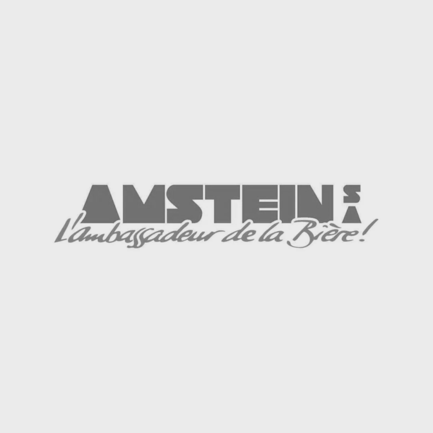 Partner Online kaufen: Amstein Logo