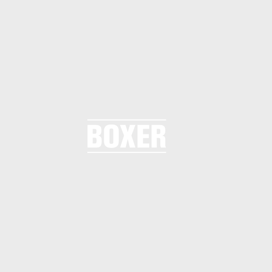 Boxer Logo in weiss auf hellgrauem Hintergrund