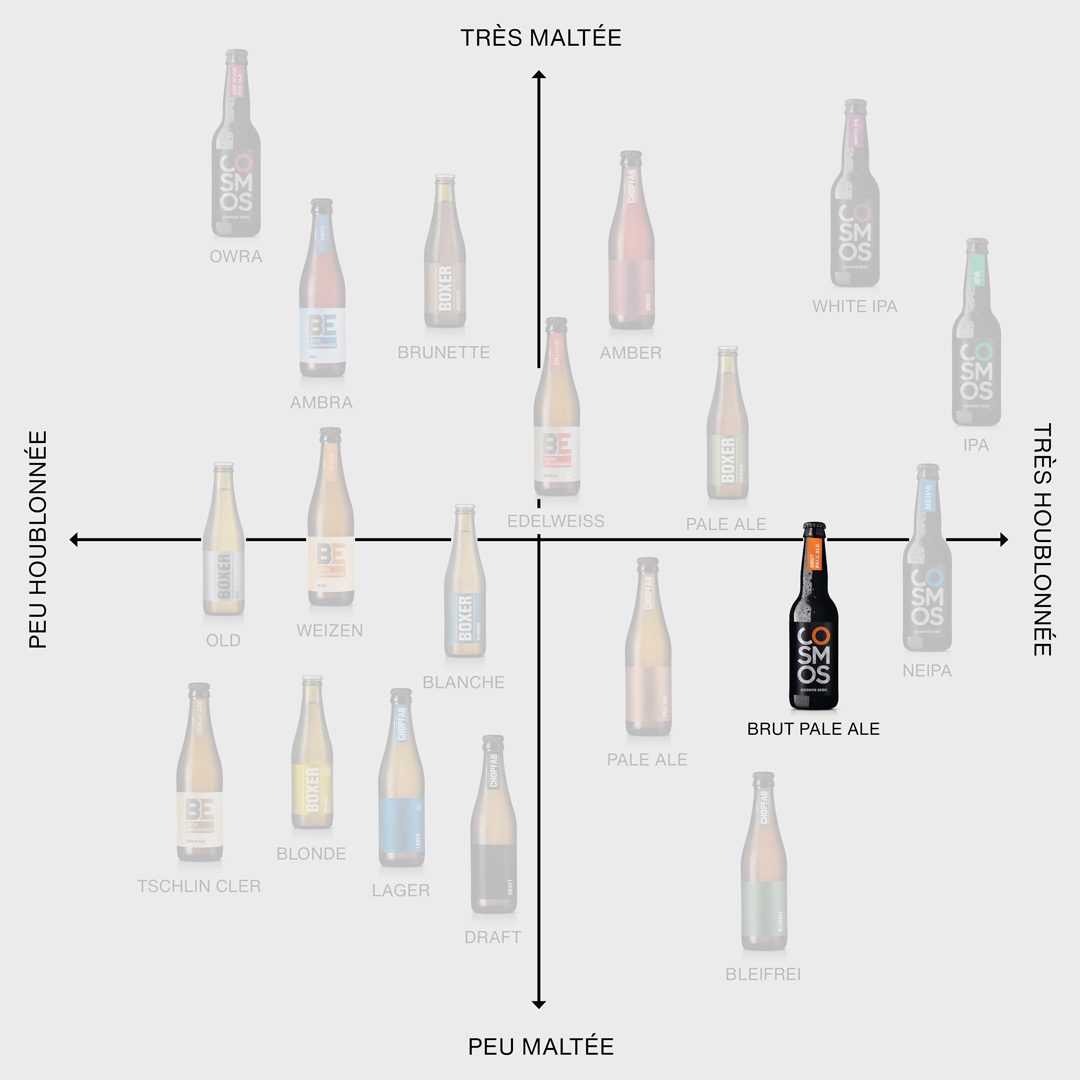 Cosmos Brut Pale Ale im Positionierungskreuz von Chopfab Boxer, von wenig malzig bis viel malzig und von wenig hopfig bis viel hopfig, französisch